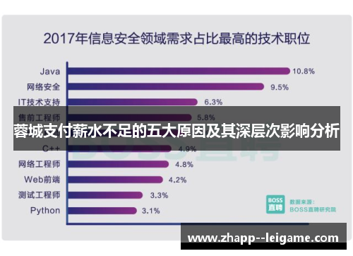 蓉城支付薪水不足的五大原因及其深层次影响分析