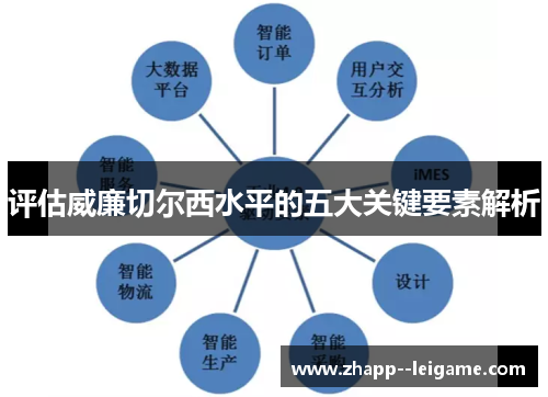 评估威廉切尔西水平的五大关键要素解析