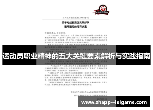 运动员职业精神的五大关键要素解析与实践指南
