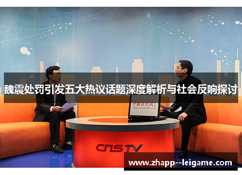 魏震处罚引发五大热议话题深度解析与社会反响探讨